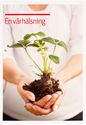 Bild på Vykort- Vårhälsning smultronplanta